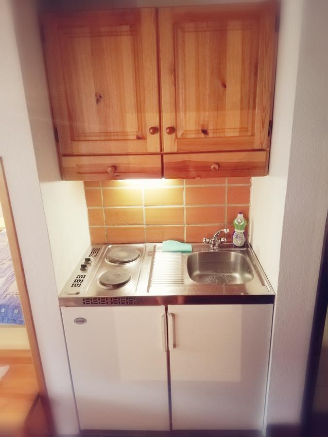 Guest House Turisticna Kmetija Plaznik Ljubno Bagian luar foto